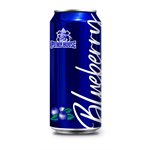 Pump House Blueberry Ale 473ml