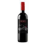 Ruta 5 Cabernet Sauvignon 750ml